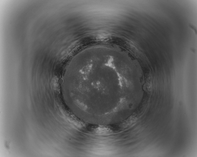 X0000102040270200807251421