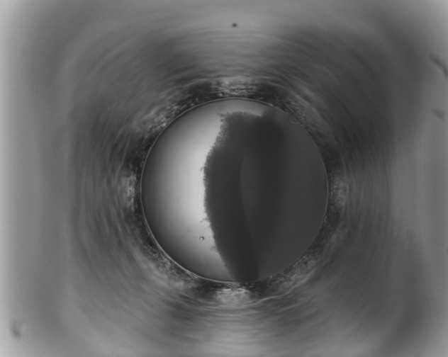 X0000102040271200807251421