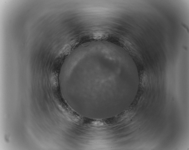 X0000102040272200807251421