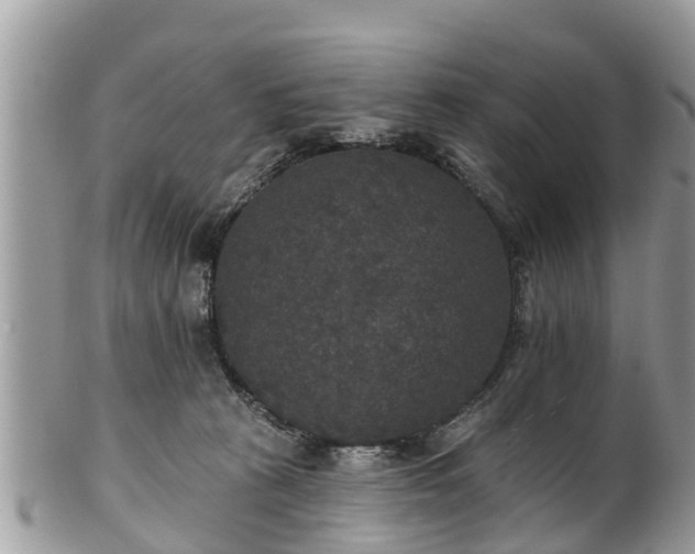 X0000102040273200807251421