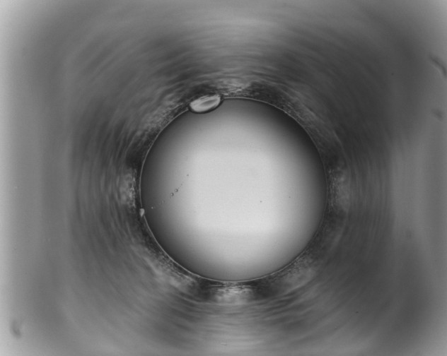 X0000102040274200807251421