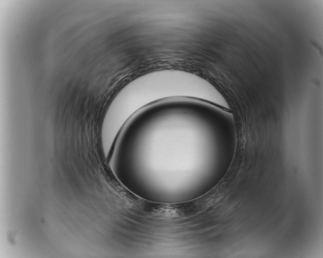 X0000102040276200807251421