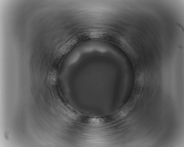 X0000102040277200807251421