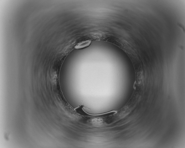 X0000102040279200807251421