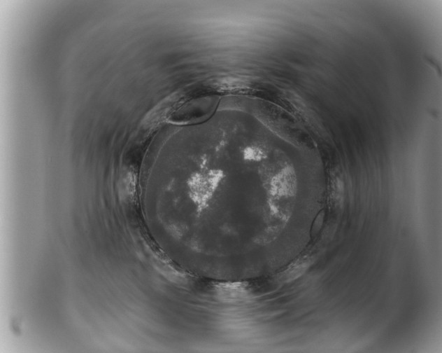 X0000102040281200807251421