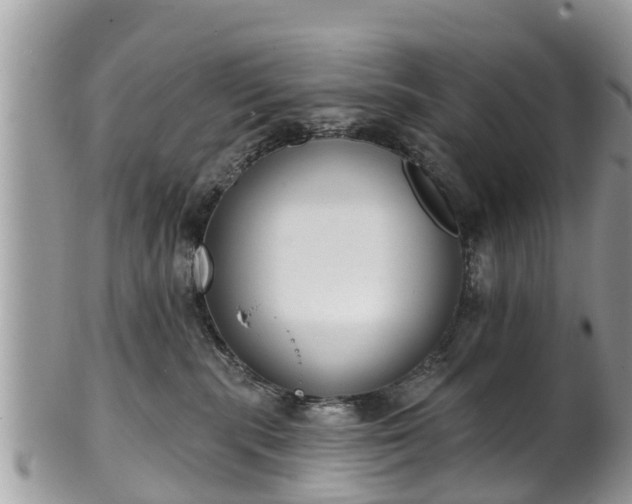 X0000102040283200807251421