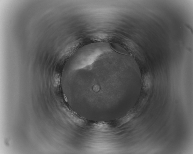 X0000102040284200807251421