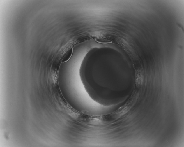 X0000102040285200807251421