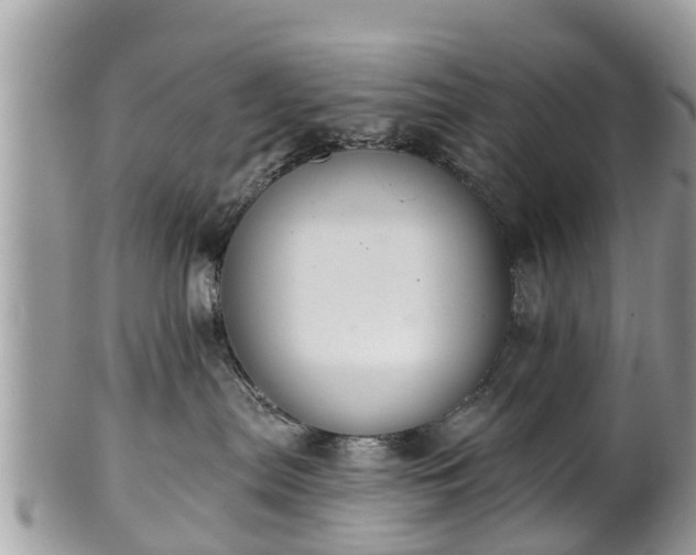 X0000102040287200807251421