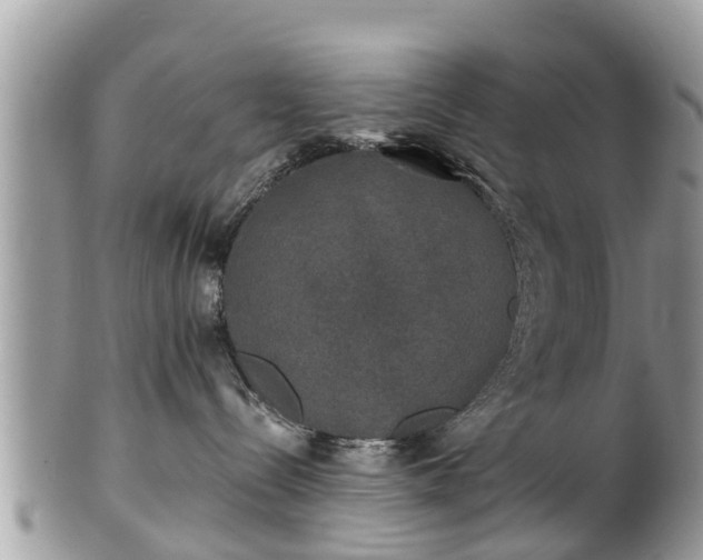 X0000102040288200807251421