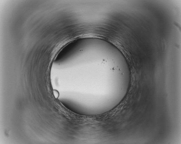 X0000102040289200807251421