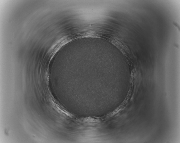 X0000102040290200807251421