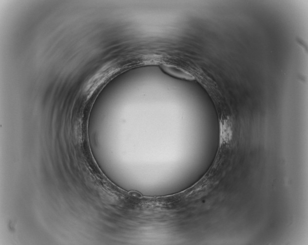 X0000102040291200807251420