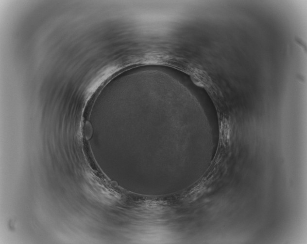 X0000102040292200807251420