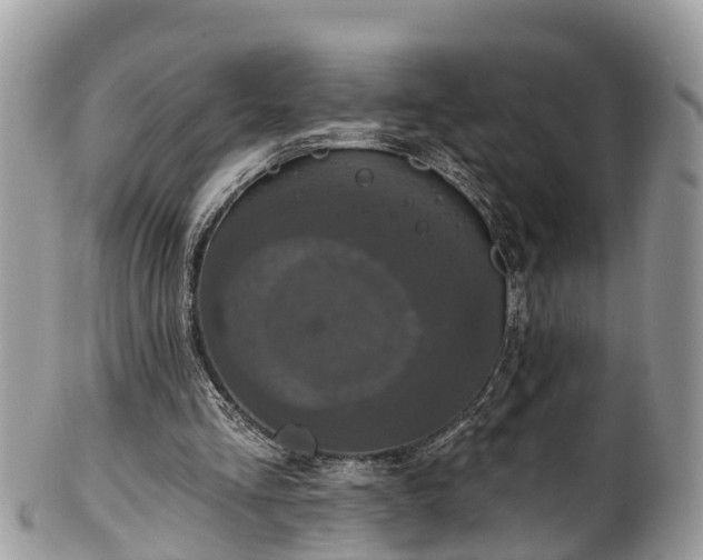 X0000102040293200807251420