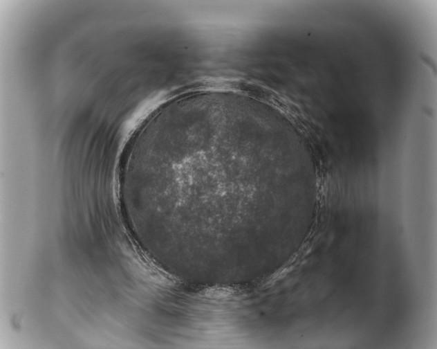 X0000102040294200807251420