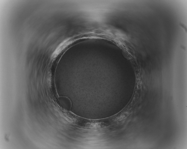 X0000102040295200807251420