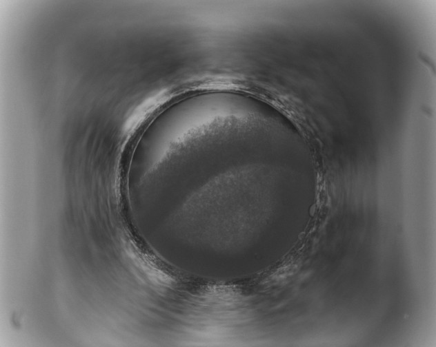 X0000102040296200807251420