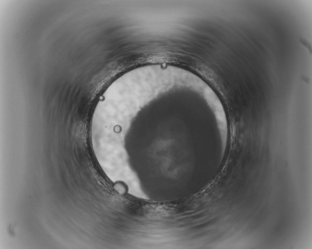 X0000102040297200807251420