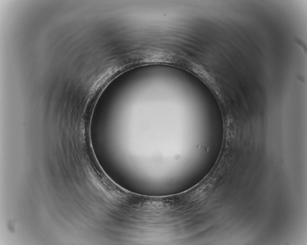 X0000102040298200807251420