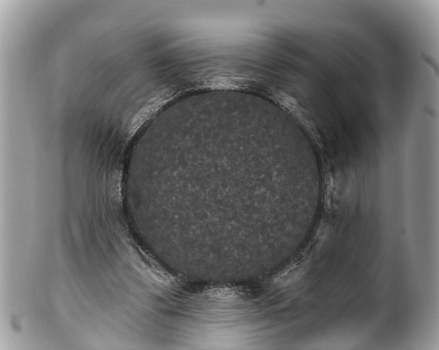 X0000102040299200807251420