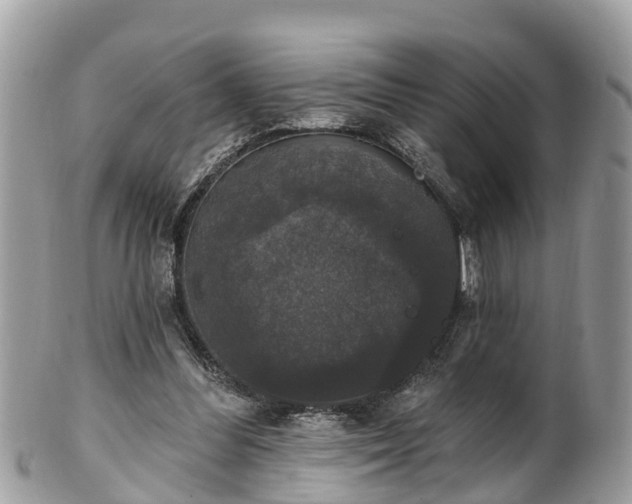 X0000102040300200807251420