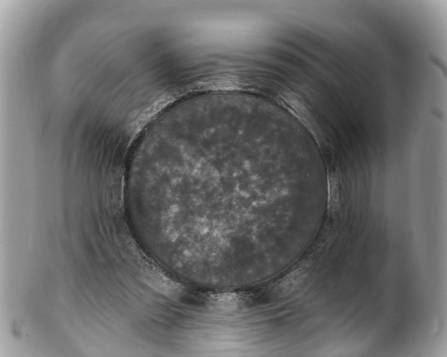 X0000102040301200807251420