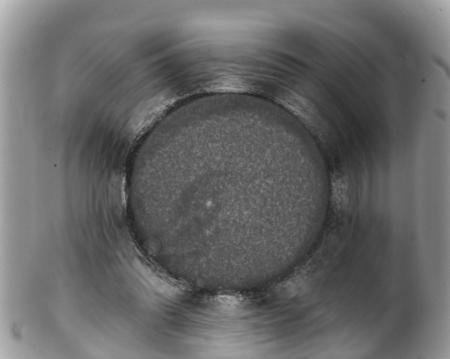 X0000102040302200807251420