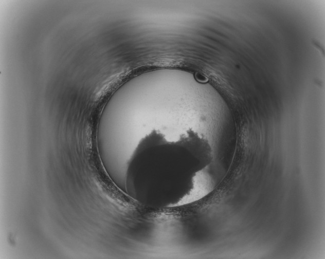 X0000102040303200807251420