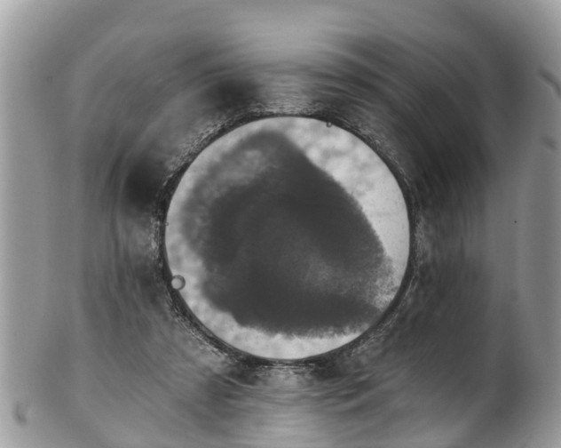 X0000102040305200807251420