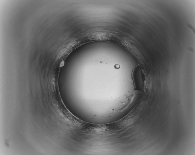 X0000102040306200807251420