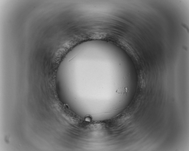 X0000102040307200807251420