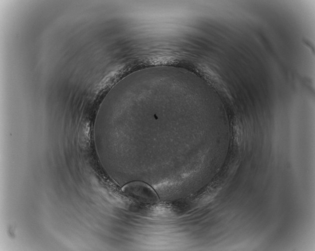 X0000102040308200807251420