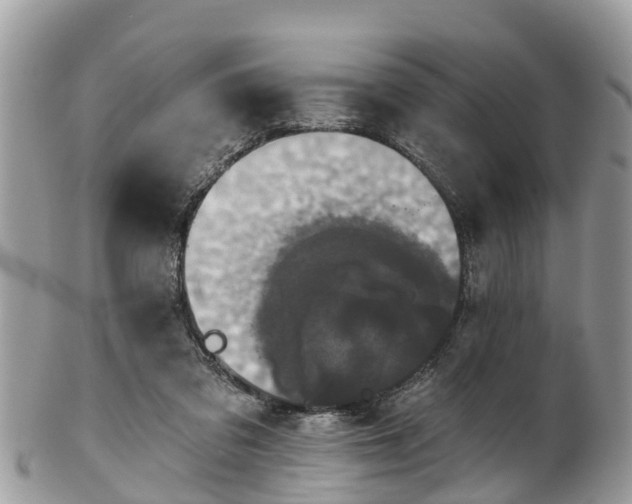 X0000102040309200807251420