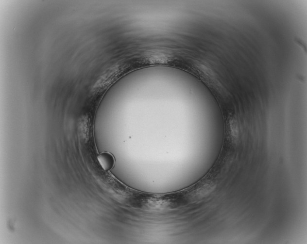 X0000102040311200807251420