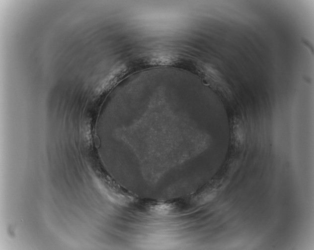 X0000102040312200807251420