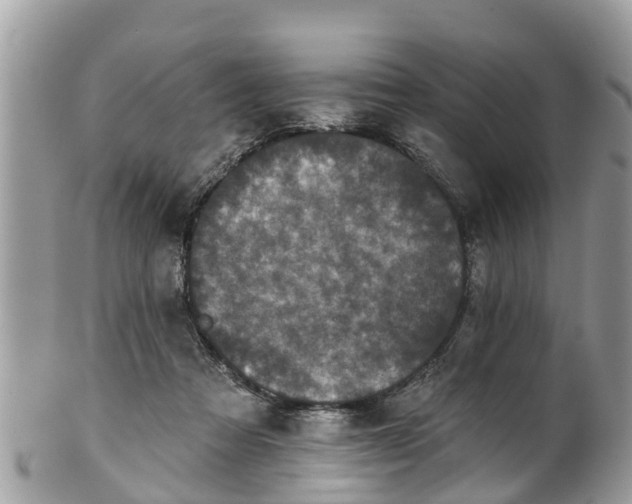 X0000102040313200807251420