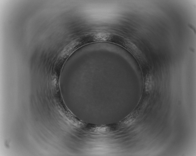 X0000102040314200807251420