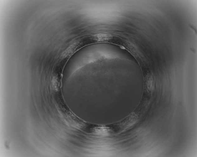 X0000102040316200807251420