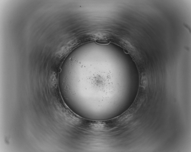 X0000102040318200807251420