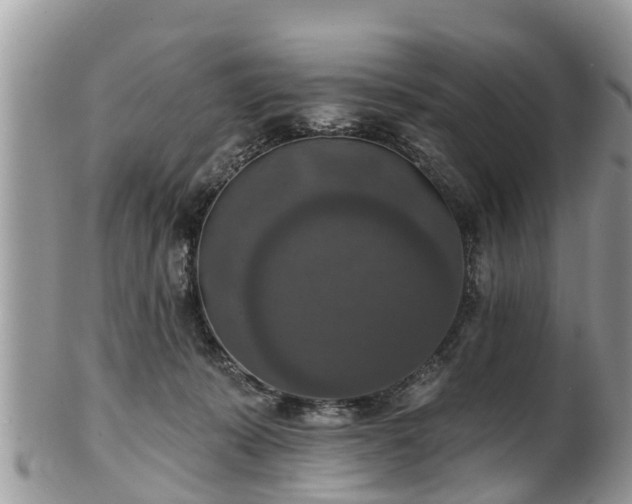 X0000102040319200807251420