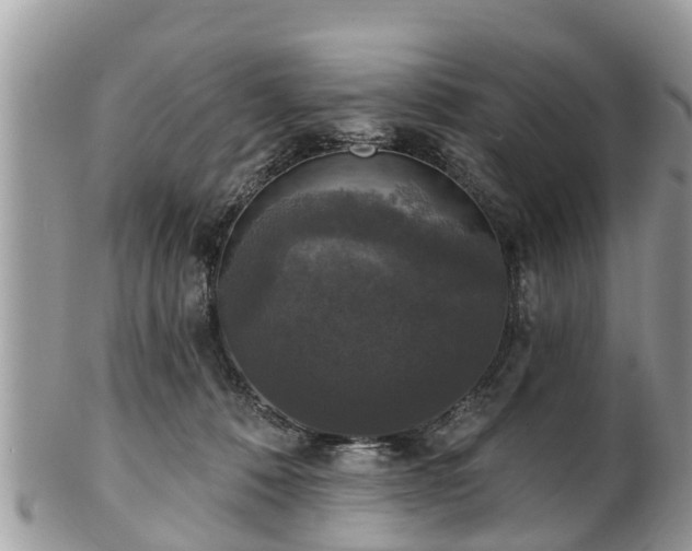 X0000102040320200807251420