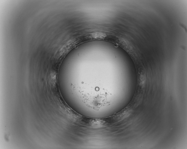 X0000102040321200807251420