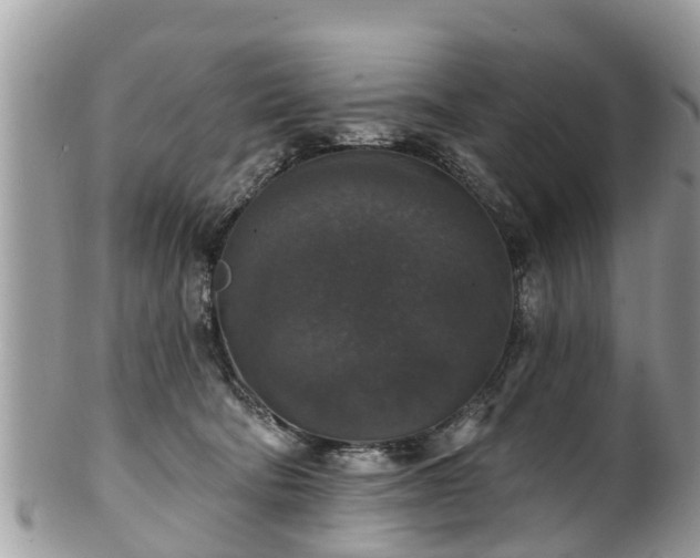 X0000102040322200807251420