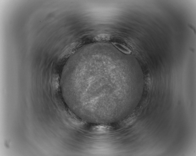 X0000102040323200807251420