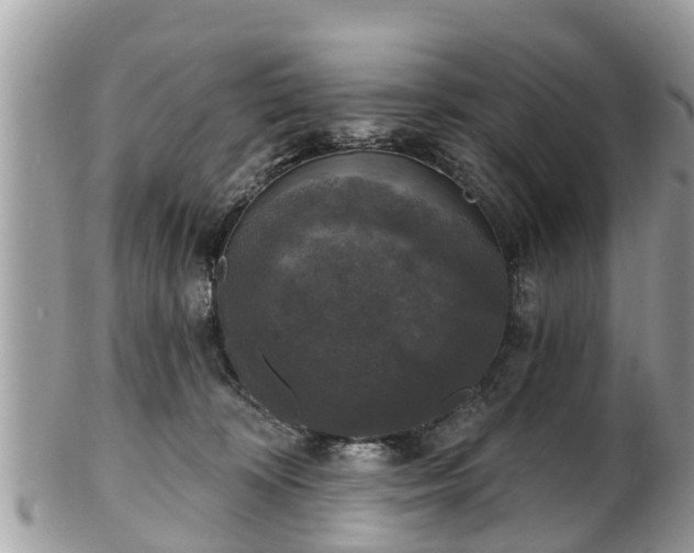 X0000102040324200807251420