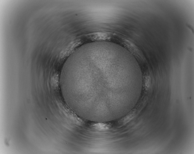 X0000102040326200807251420