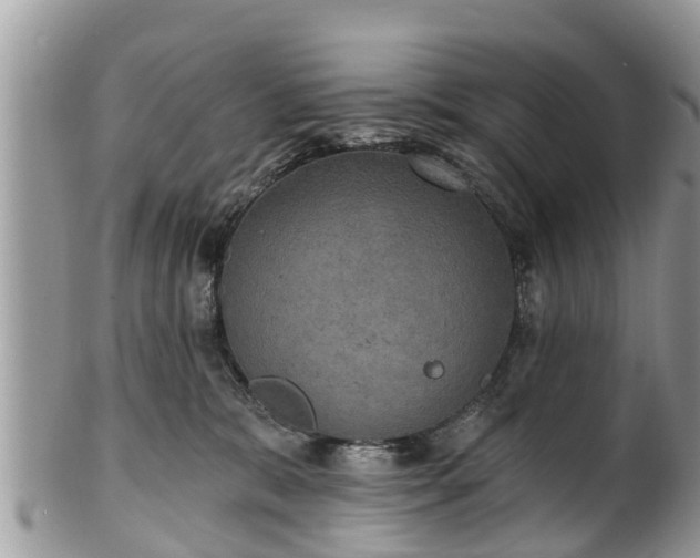 X0000102040327200807251420