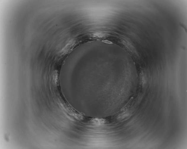 X0000102040328200807251420