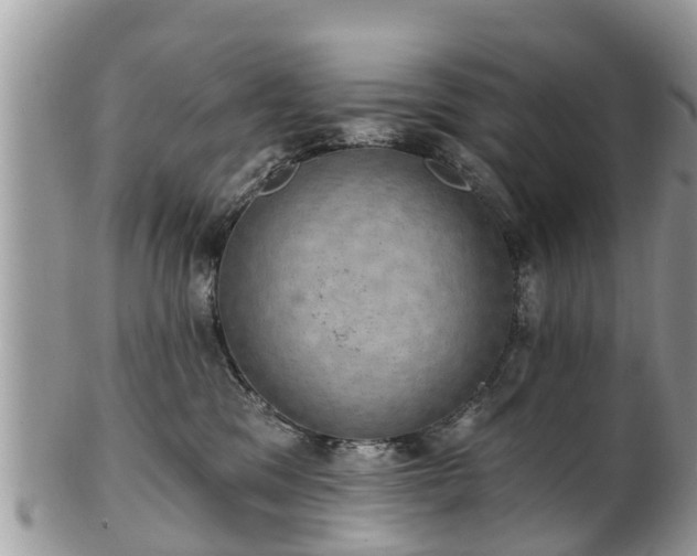 X0000102040329200807251420